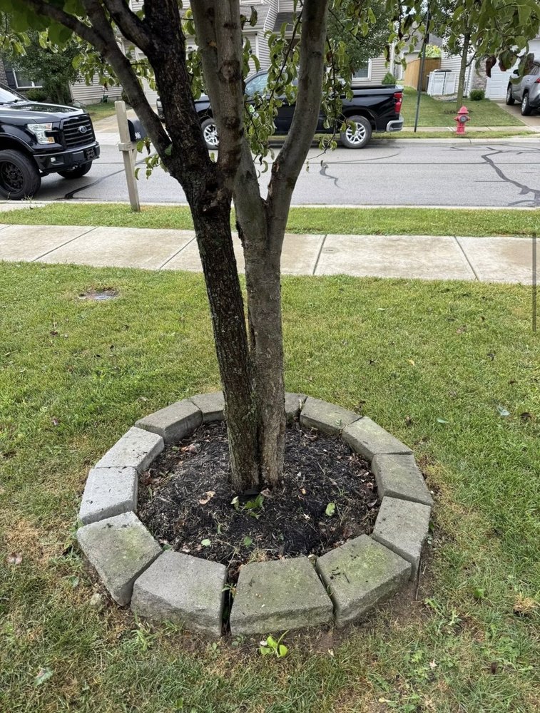 Stone tree ring edging and mulch installation for landscaping in Carmel, IN Stone tree ring edging and mulch installation for landscaping in Carmel, IN