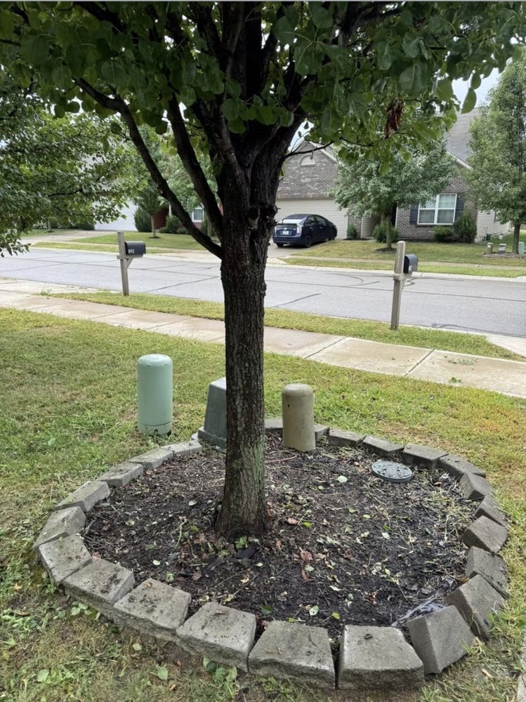 Tree landscaping and mulch bed installation in a Carmel, IN residential yard Tree landscaping and mulch bed installation in a Carmel, IN residential yard